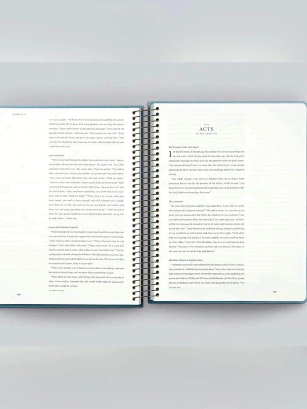 ESV Spiral-Bound Journaling Bible, History (Hardcover): Holy Bible